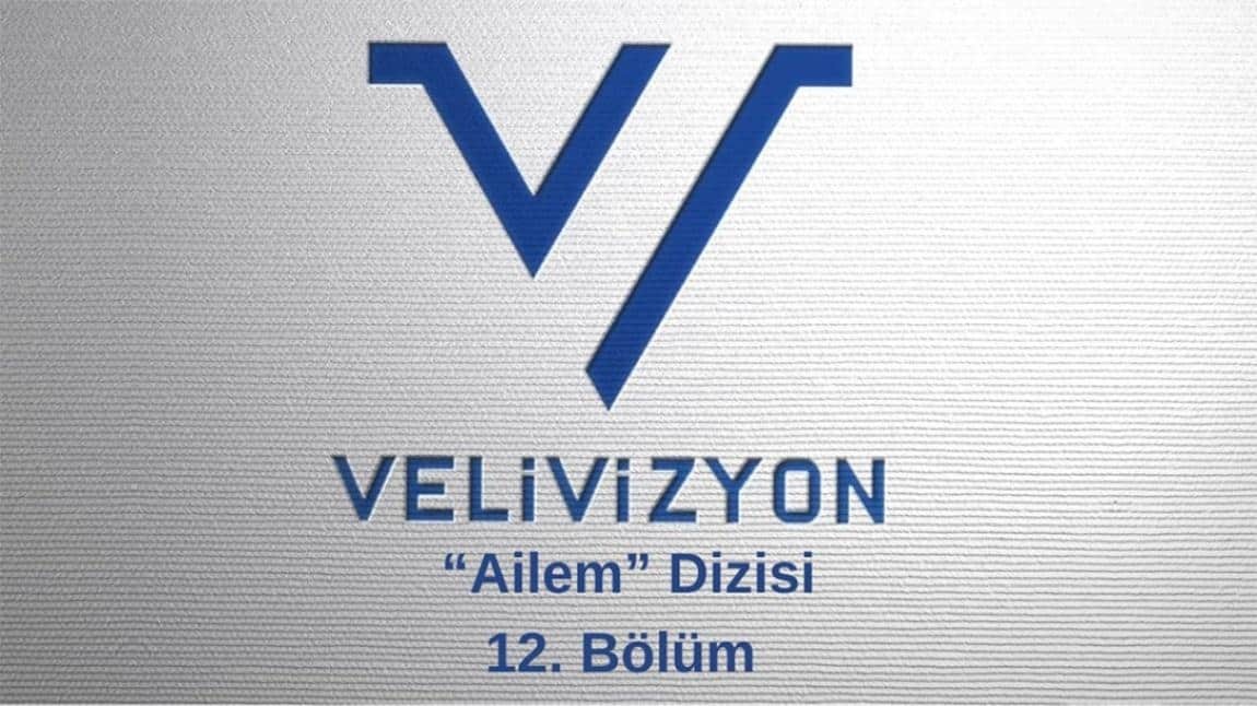 MEB VELİ VİZYON PROGRAMI